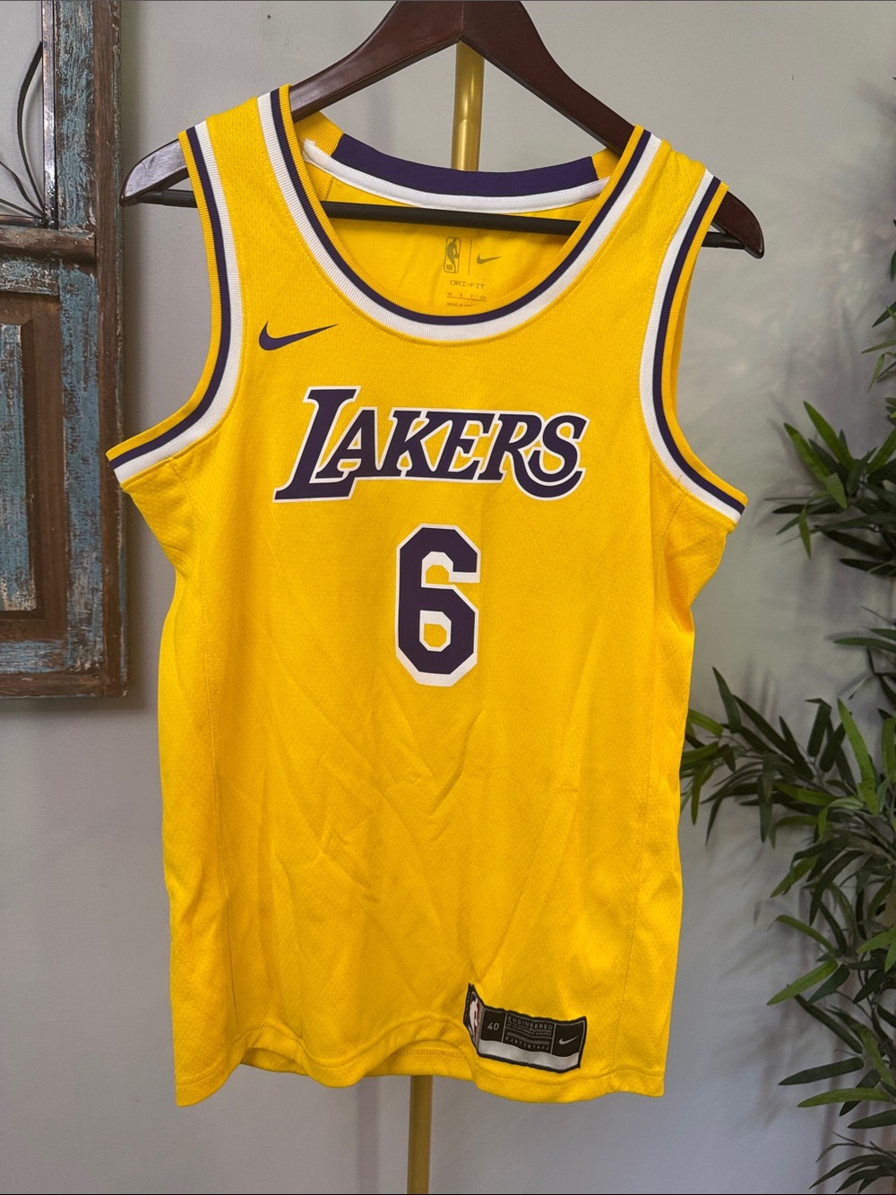 Nike LeBron James Basketball Jersey #6